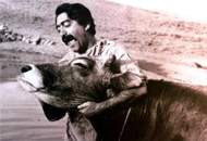 "گاو" پس از ۴۵ سال به پاریس رفت