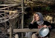 آغاز اکران گسترده‌ی "شیار ۱۴۳" با ۵۰ سینما