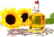 خرید تضمینی دانه‌های روغنی آفتابگردان و سویا در سال ۹۴