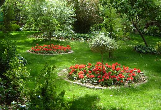 اجرای ۶هزار مترمربع فضای سبز عمودی و بام در منطقه‌ی ۱۰ تهران