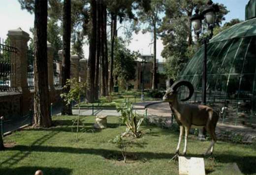 آمادگی موزه حیات وحش هفت چنار از روز اول نوروز برای میزبانی از بازدید کنندگان