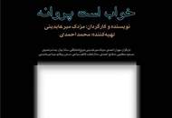 رونمایی از پوستر "خواب است پروانه"