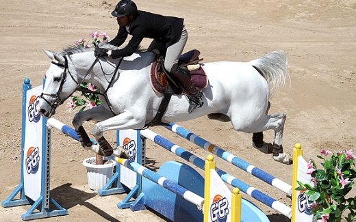قهرمانی سوارکاران ایرانی در مسابقات بین المللی پرش با اسب دو ستاره