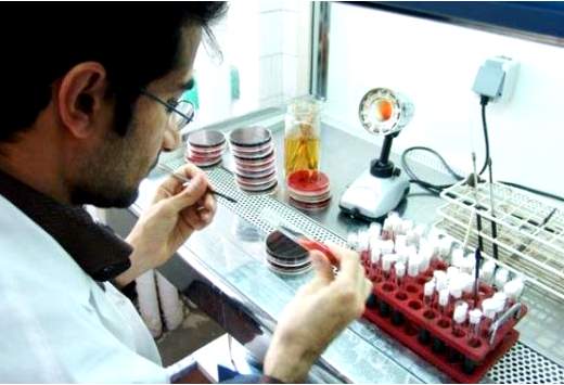 هفدهمین کنگره بین المللی انجمن میکروب شناسی ایران برگزار می شود