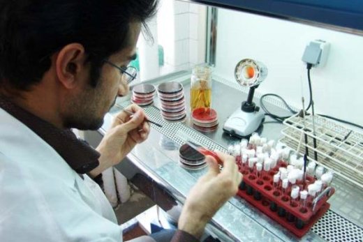 ۶۰ درصد آزمایش‌ها غیرضروری تجویز می‌شود