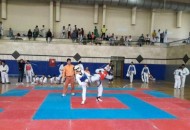 رقابت ۳۰۰ رزمی کار در مسابقات تکواندو منطقه ۷