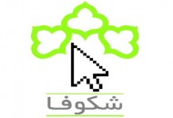 دوره های آموزشی جشنواره شکوفا در سرای محلات ۱۳ گانه