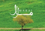 آلبوم "مارال" در راه است