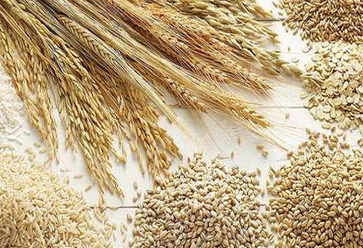 بزودی ۳میلیون تن گندم صادر می‌کنیم