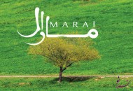 «مارال» منتشر شد