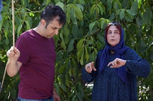 "آباجان" آماده حضور در فجر شد