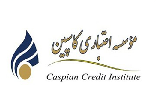 بانک مرکزی پیگیر وضعیت موسسه کاسپین است