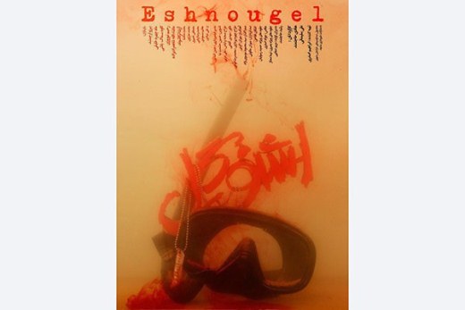 رونمایی از پوستر "اشنوگل"