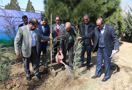 کاشت درخت در محل آکادمی تیم های ملی در ورزشگاه آزادی