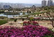 ۴۰۰ هزار لاله در منطقه ۲۲ به گل نشست