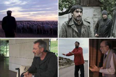 اسپانیا با ۵ اثر به جشنواره جهانی فیلم فجر می‌آید