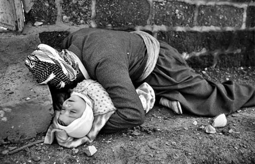 نمایش و نقد مستند "صدای سکوت" در کانون فیلم سینماحقیقت