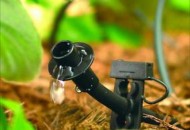 حذف روش سنتی آبیاری فضای سبز در بخش مرکزی شهر تهران