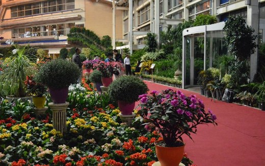 آغاز به کار شانزدهمین نمایشگاه بین‌المللی گل و گیاه از ۱۵ اردیبهشت ماه