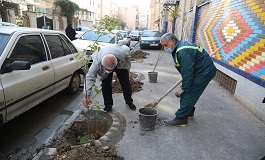 بیش از ۷ هزار نهال در معابر و بوستان های منطقه ۱۱ کاشته شد